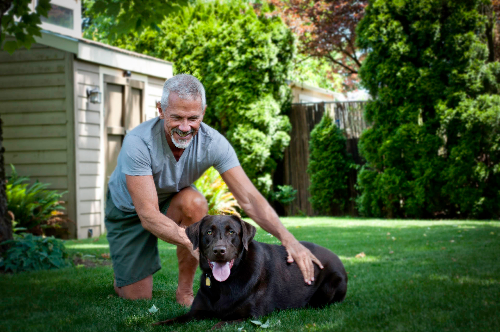 Michael G playing with his dog Rufus in the yard