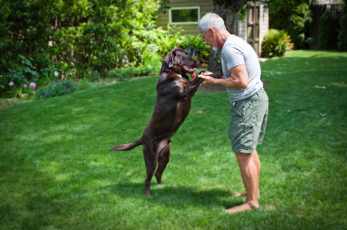 Michael G playing with his dog Rufus in the yard